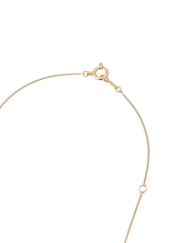 Skin Jewelry Necklace(F GOLD): グッズ │ ETRE TOKYO official ...