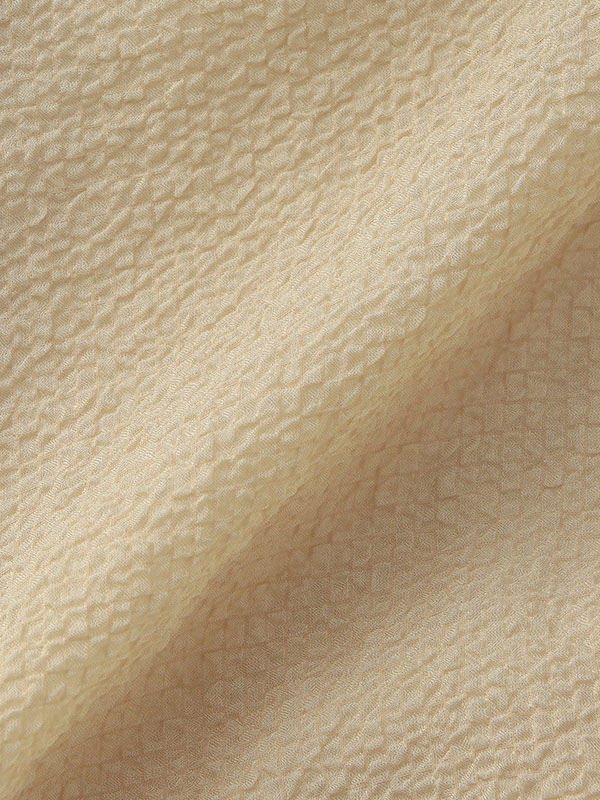 シャーリングシアーブラウス