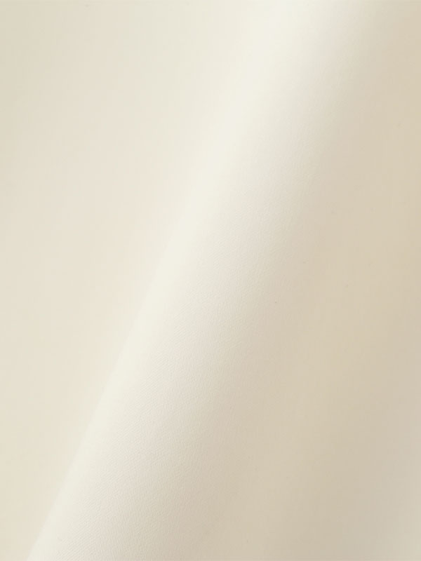 キャンディースリーブシルキーシャツ