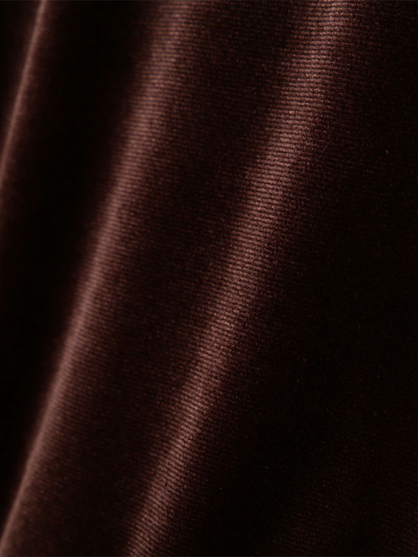 ETRE TOKYO リングドットベロアトップス 2色 リングドットベロアトップス(F BROWN): トップス │ ETRE TOKYO